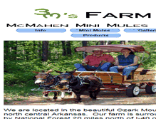 Tablet Screenshot of minimulesfarm.com